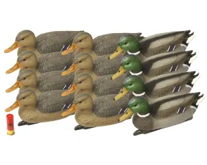 16" Mallard Duck Family Decoy Family 4M & 8F