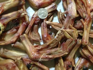 Duck Feet **PET CANDY** Dehydrated Treat