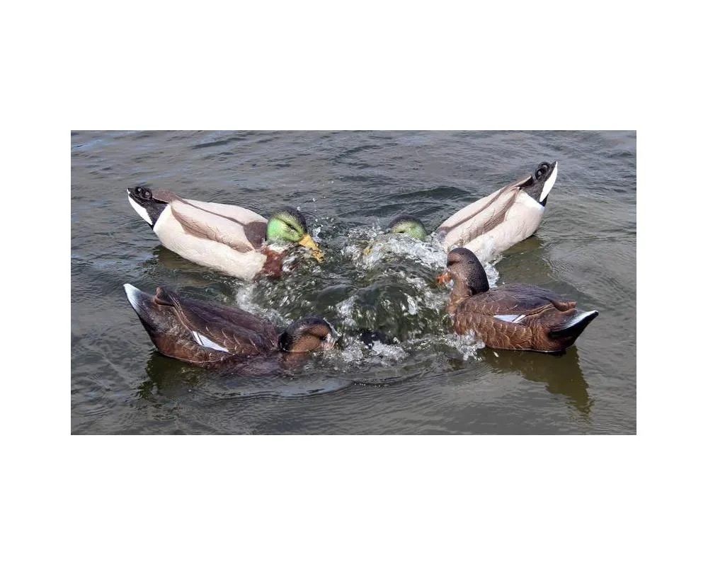 Game On Feeding Frenzy Motion Decoy System