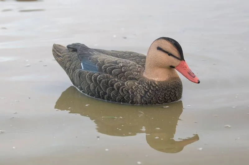 Game On Full-Size Flocked Mallard Decoy Family Pack: 8 Hens & 4 Drakes