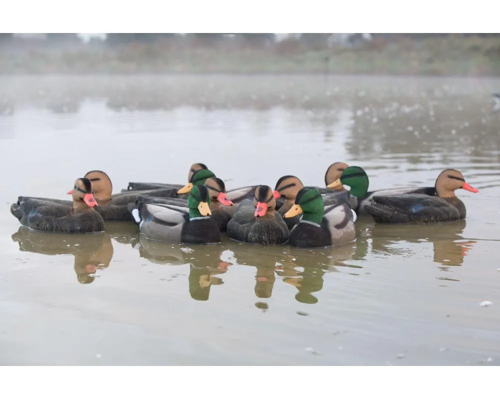 Game On Full-Size Flocked Mallard Decoy Family Pack: 8 Hens & 4 Drakes