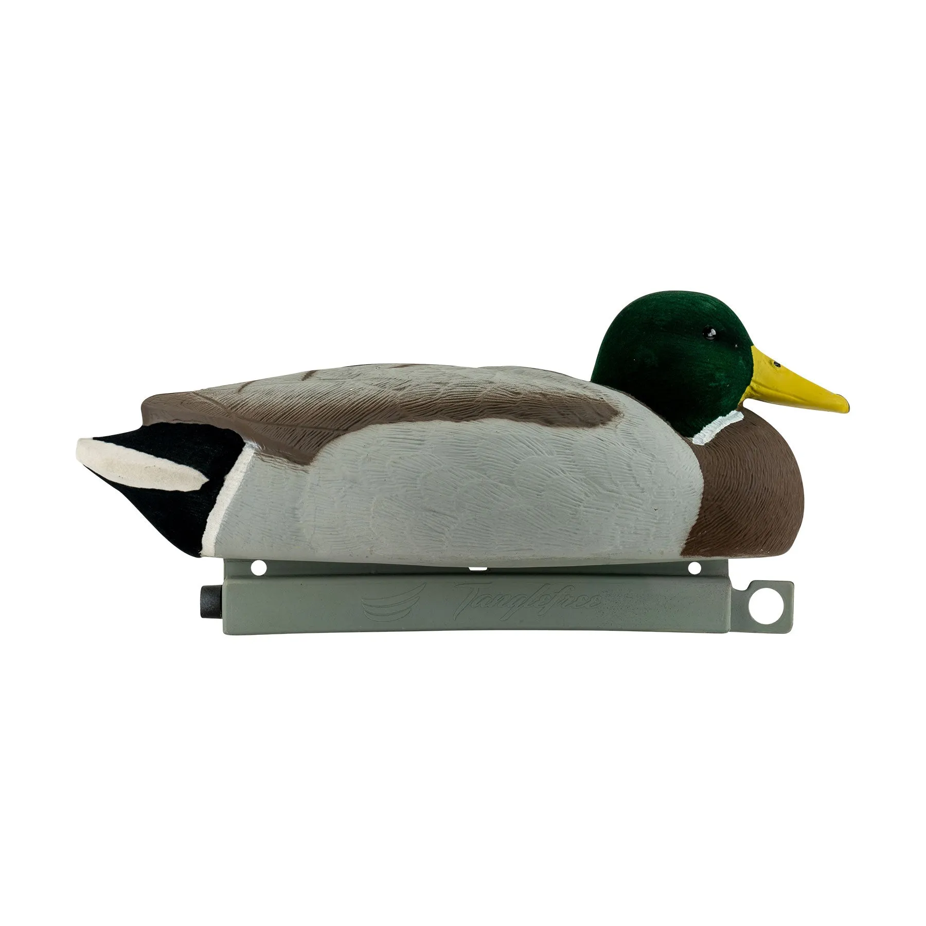 Migration Edition Mallard Drake Combo Pack - Flocked Head & Tail