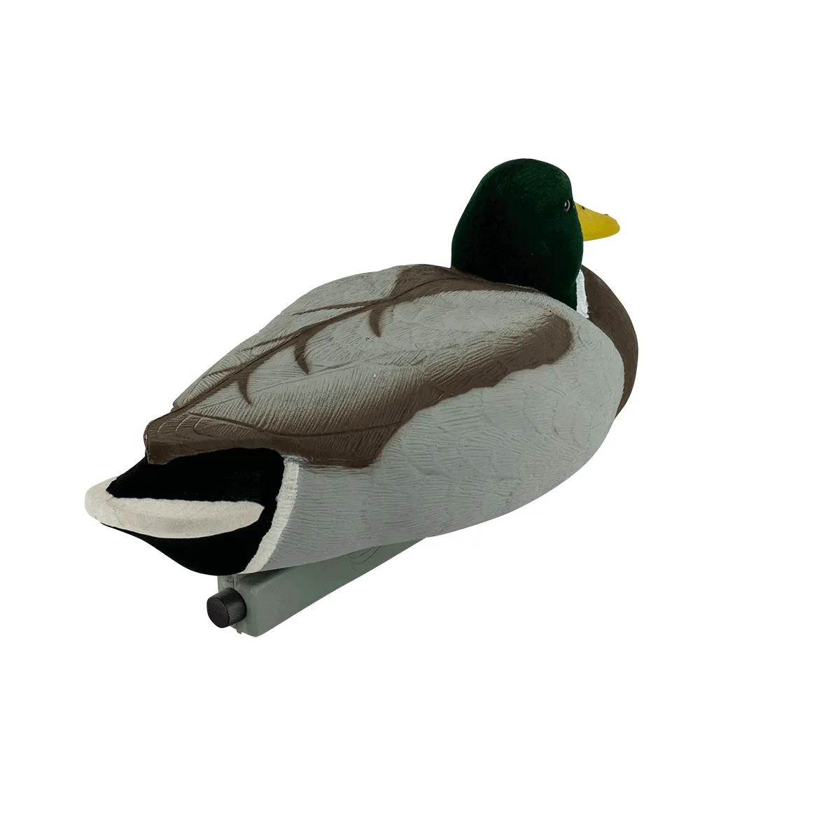 Migration Edition Mallard Drake Combo Pack - Flocked Head & Tail