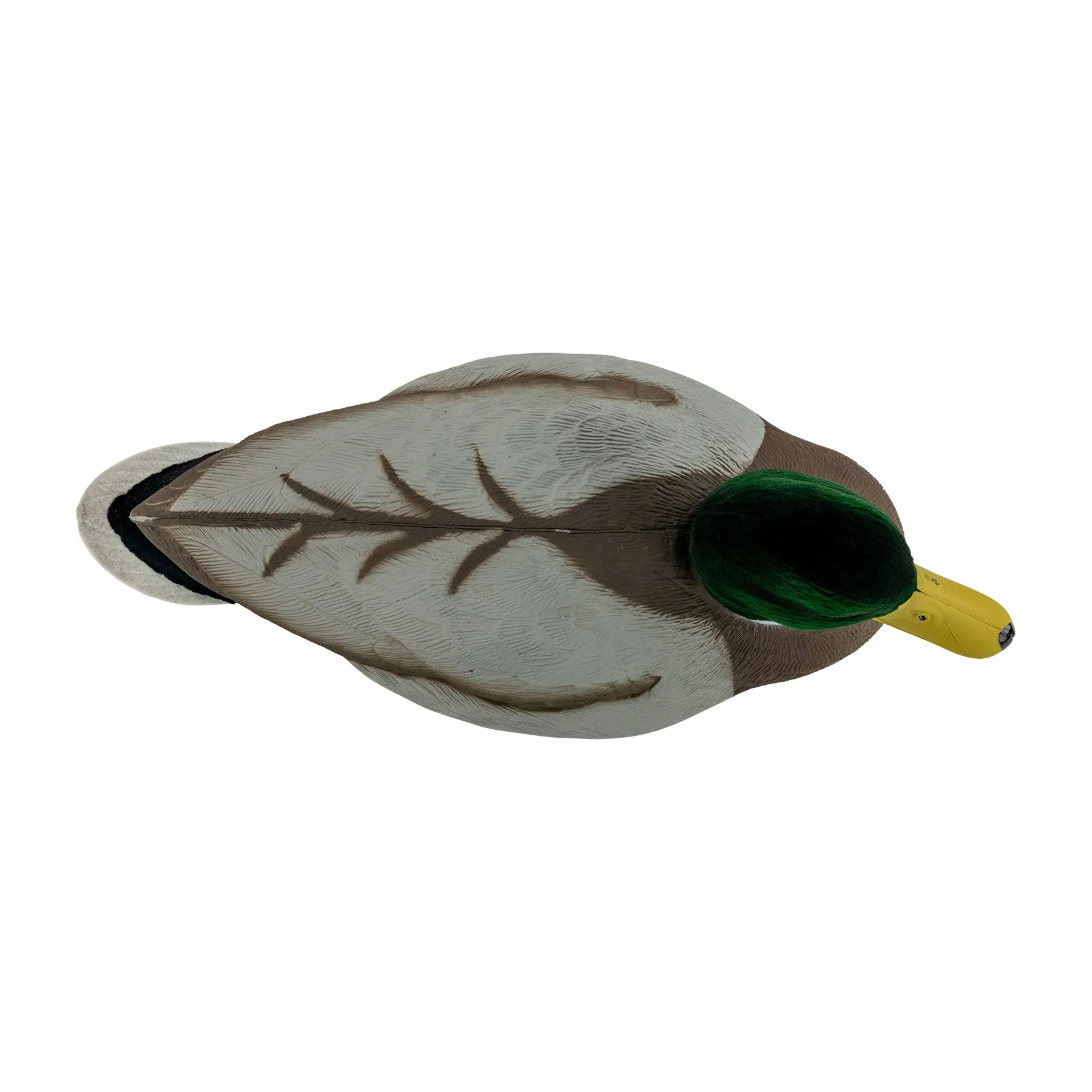 Migration Edition Mallard Drake Combo Pack - Flocked Head & Tail