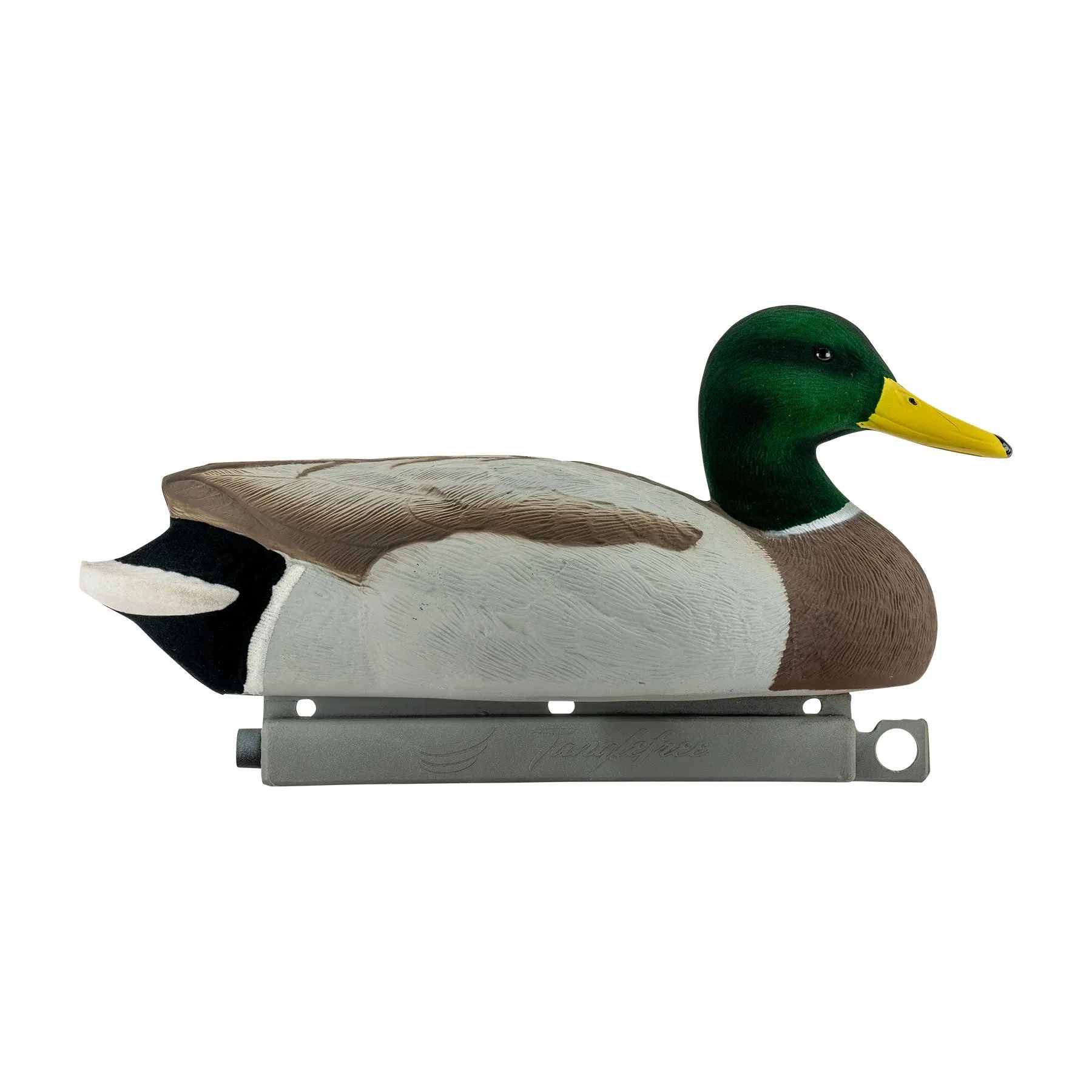 Migration Edition Mallard Drake Combo Pack - Flocked Head & Tail