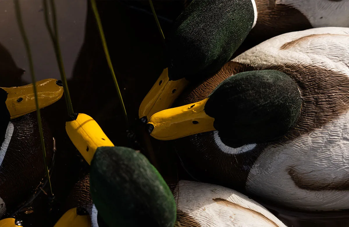 Migration Edition Mallard Drake Combo Pack - Flocked Head & Tail