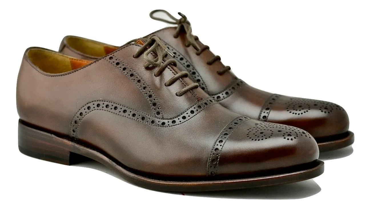 Oxford brogue | dark brown  | box  Calf