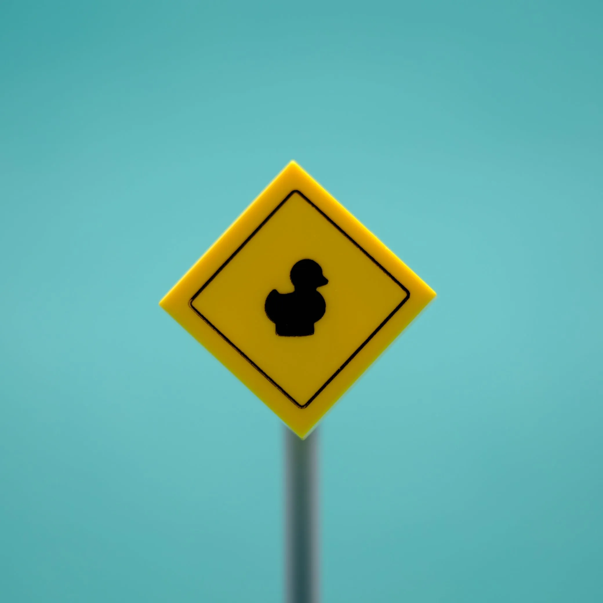 Rubber Duck Sign