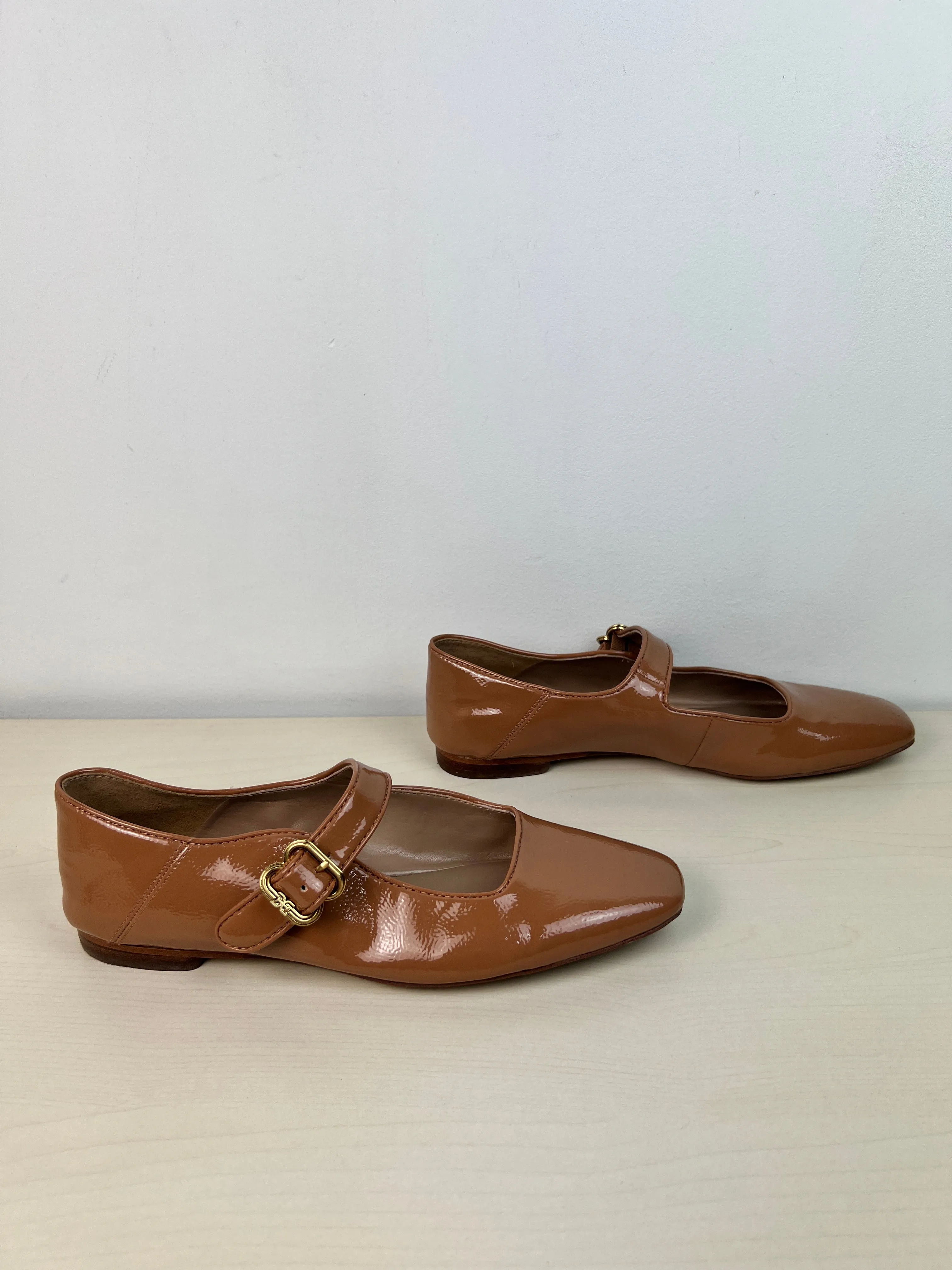 Shoes Flats By Sam Edelman In Brown, Size: 8